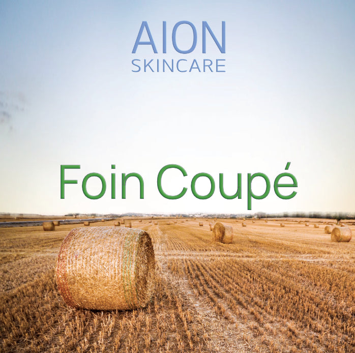 Aion Skincare Alcohol Free Aftershave Splash - Foin Coupé