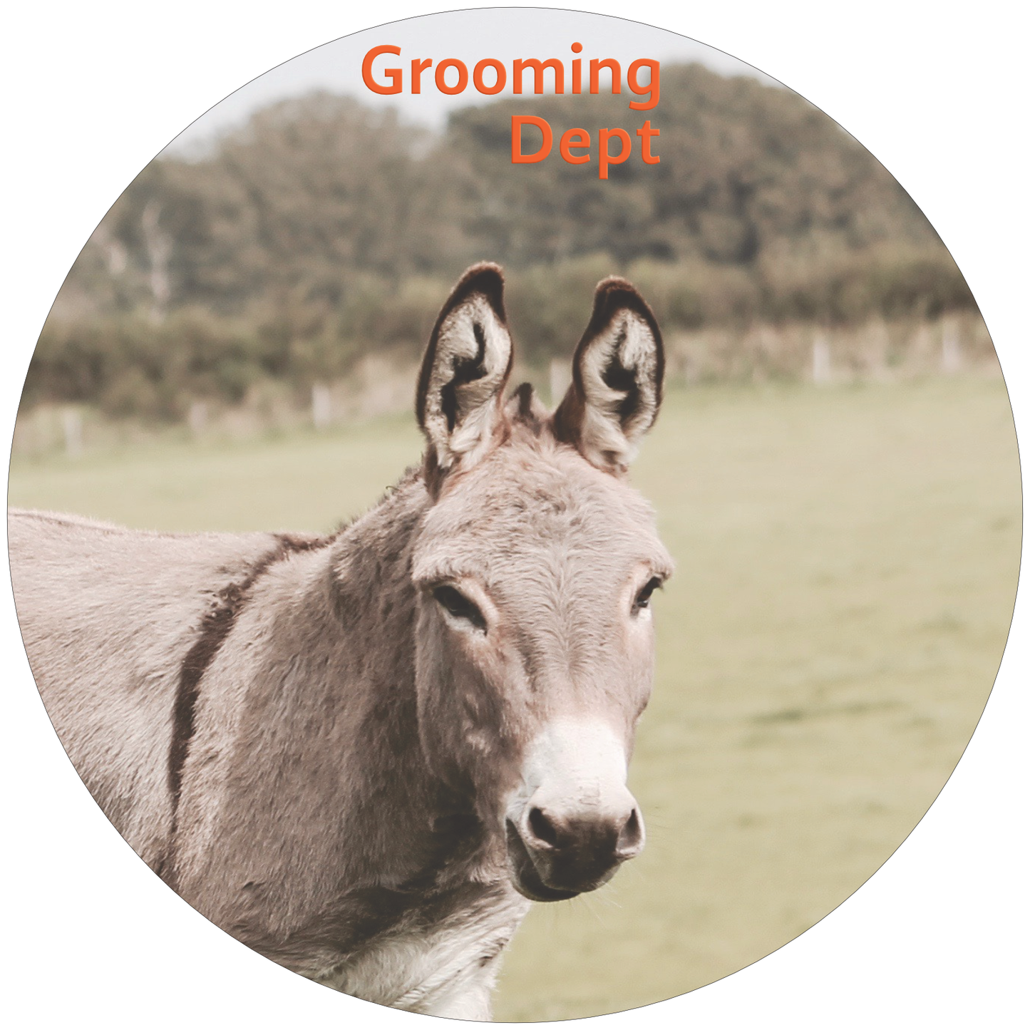 Lemon Bay - Donkey Milk - Duck Fat - Lamb Tallow Shaving Soap