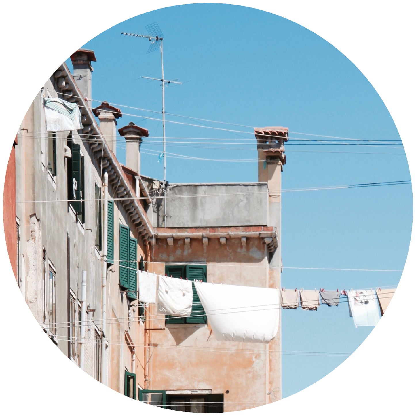 Laundry - Donkey Milk - Duck Fat - Lamb Tallow