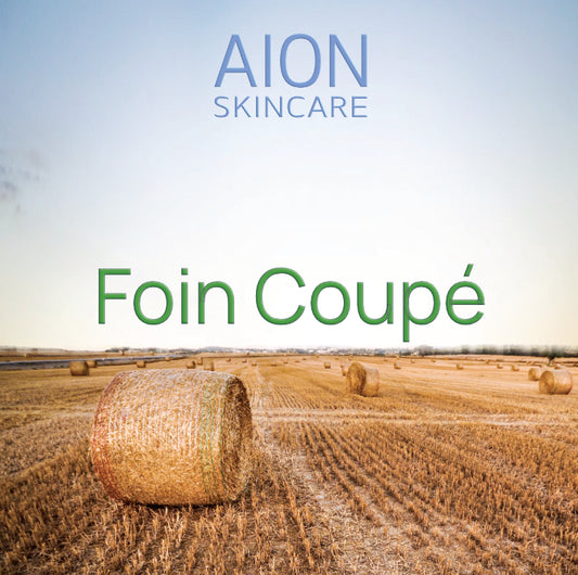 Aion Skincare Alcohol Free Aftershave Splash - Foin Coupé